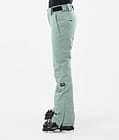Dope Con W 2022 Lasketteluhousut Naiset Faded Green, Kuva 2 / 5